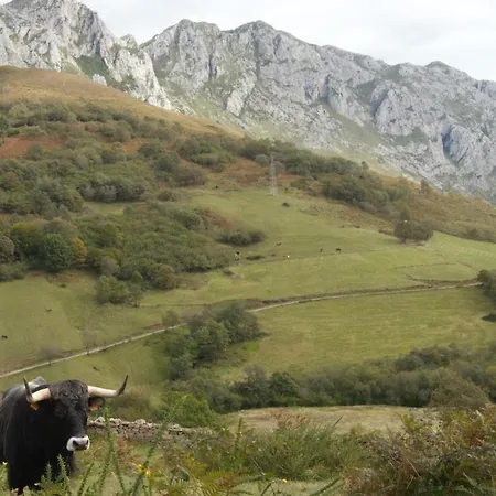 El Abertal Navedo