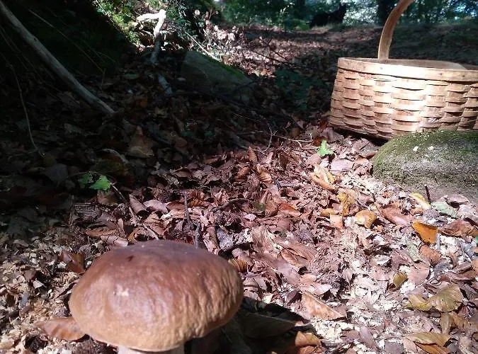 El Abertal 아파트